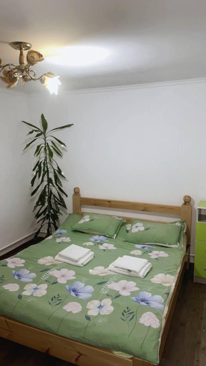 Rozalinda Guesthouse Naryn 外观 照片